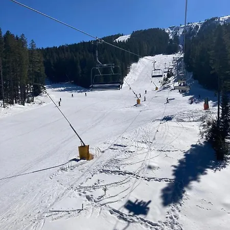 Bright & Lovely In With Free And Garage Bansko